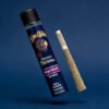 ⁠Big Chief 1G Premium Indoor Pre-Roll in protective glass tube packaging⁠