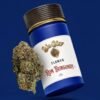 Premium Indoor Flower | Ron Burgundy